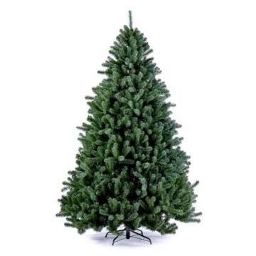 Weihnachtsbaum Boston Spruce grün