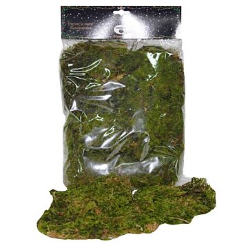 Beutel moos 100g