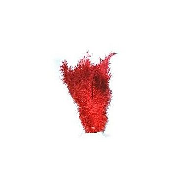 Zahnseidefedern rot 30 cm