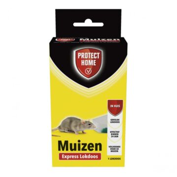 Express Maus-Mittel 1st