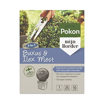 Pokon Buxus Heckenfutter 1 kg