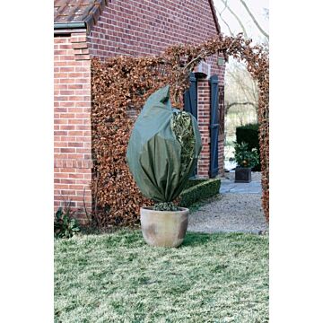 Winterhülle mit Reißverschluss grün L 250 cm natur