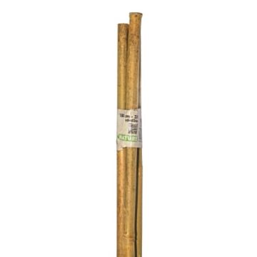 Bambus Stab naturel H180cm Ø14-16mm set 3 stück
