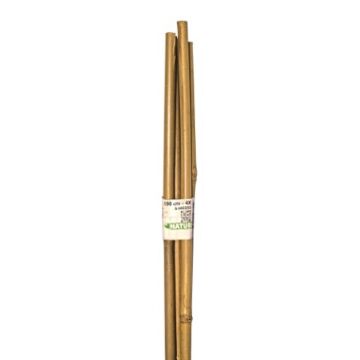 Bambus Stab naturel H150cm Ø12/14mm set 4 stück