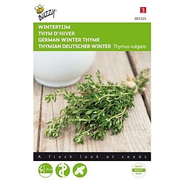 Thymian Echter Winter – Buzzy