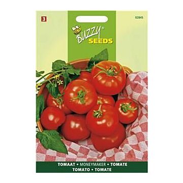 Buzzy® Tomate Moneymaker