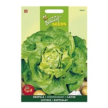Buzzy® Kopfsalat Neckariessen