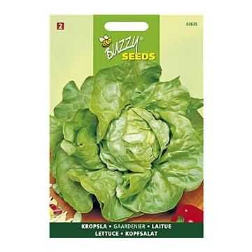 Buzzy® Kopfsalat Gärtnerstolz Du Bon Jardinier