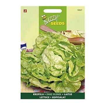 Buzzy® Kopfsalat Grosse Blonde Paresseuse