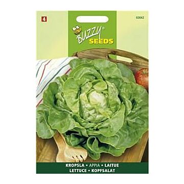Buzzy® Kopfsalat Appia