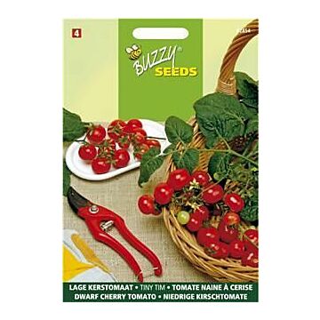Buzzy® Niedrige kirschtomate Tiny Tim