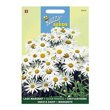 Chrysanthemum max.nanum silver 0.5g