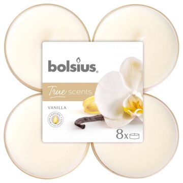 Maxi-Teelichter Vanilla – 8 Stück – Bolsius