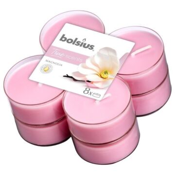 Maxi-Teelichter Magnolia – 8 Stück – Bolsius