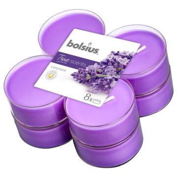 BOLSIUS Maxilicht lavender 8 Stück