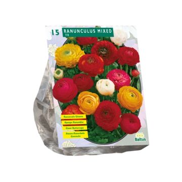 Ranunkeln, Mischung pro 15