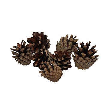 Denneappel silvester 200g naturel
