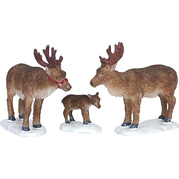 Lemax Reindeer, Set mit 3