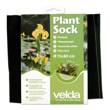 Plant sock d15x80cm