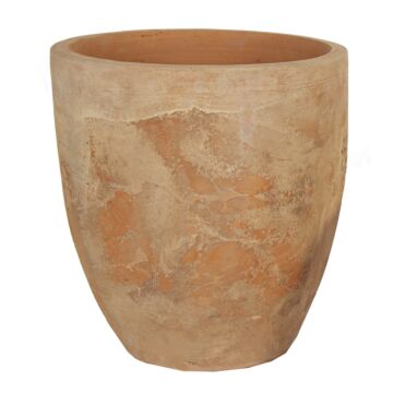 Aged Tall Egg D48H52