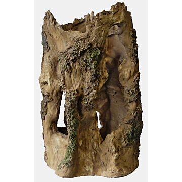 SUPERFISH Tree home l l24b22h37cm