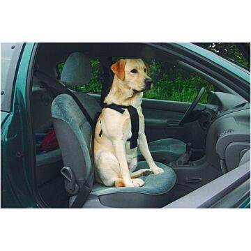 Beeztees Wandel- en autogordel hond s