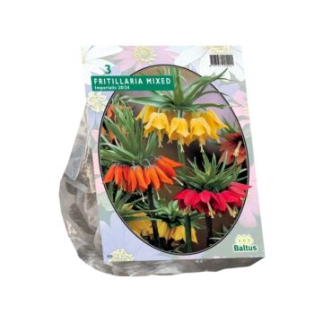 Fritillaria Imperialis gemischt pro 3