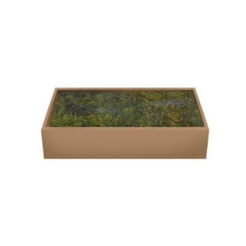 Platmos groen 500gr