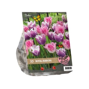 Urban Flowers - Royal Ribbons per 10