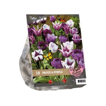 Urban Flowers - Proud &amp; Purple per 18