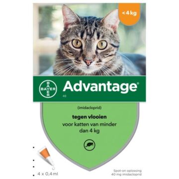 ADVANTAGE Katze 40 4pip