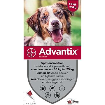 ADVANTIX Hund 250 4pip