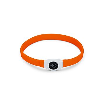 Leuchtkragen + USB orange - verstellbar - BEEZTEES