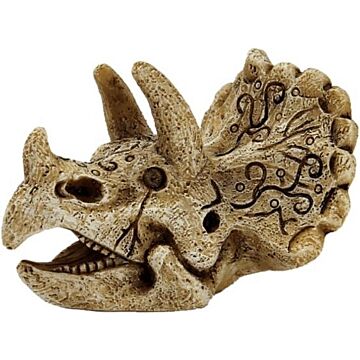 SUPERFISH Skull triceratops s