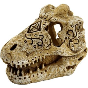 SUPERFISH Skull t rex s