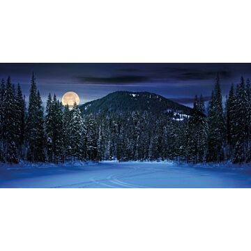 HINTERGRUNDSTOFF BERGLANDSCHAFT NACHT 150x75CM