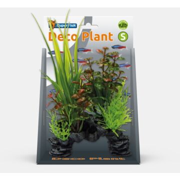 SUPERFISH Deco pflanz s rotala