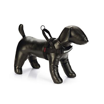 Beeztees Borsttuig prem parinca l52-62b25cm zwt
