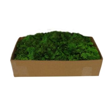 Rendiermos groen 500g