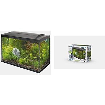Start 100 tropical kit zwart