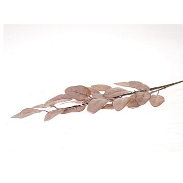 Stem Leaves Sion hell rosa 80 cm