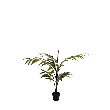 LEATHER FERN TREE W/78 LVS GRÜN
