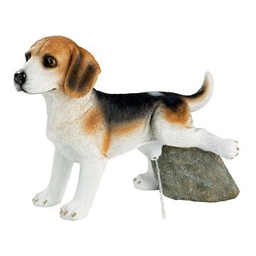 Teichbrunnen Hund