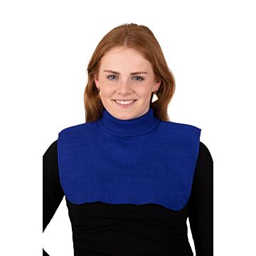 Rollkragenpullover blau