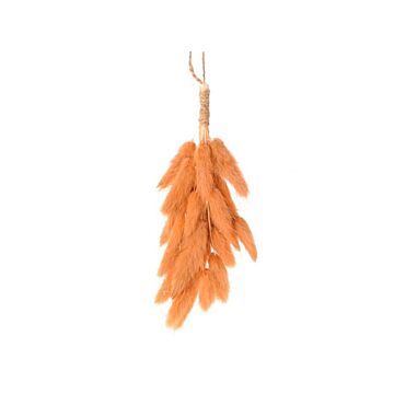 Hängende Lagurus Spule oranje 20 cm - HBX Natural Living