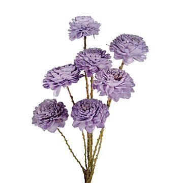 Strauß Shola Ranunkel 6 cm - HBX Natural Living