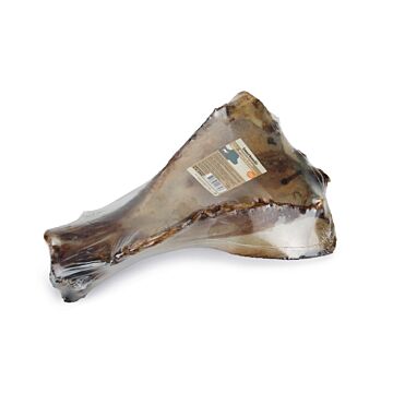 Hundesnack Rinderschulterblatt 1 Stück – Beeztees