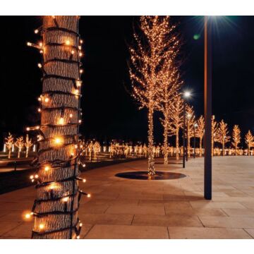 Connect De Luxe 100LED Klassisch Warm 10 Meter - Annas Kollektion