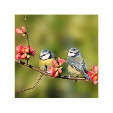 Outdoor-Leinwand Blaumeise 58 cm