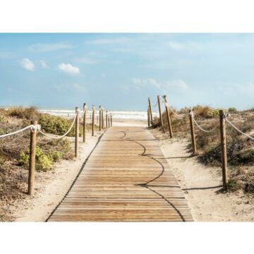 Outdoor-Leinwand Beachfront holz 78 cm